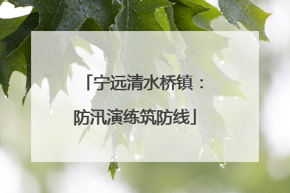 宁远清水桥镇：防汛演练筑防线