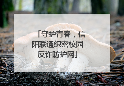 守护青春，信阳联通织密校园反诈防护网