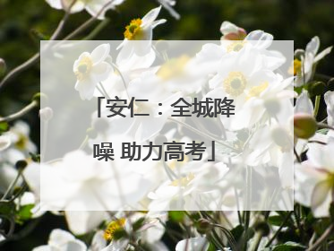 安仁：全城降噪 助力高考