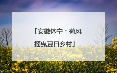 安徽休宁：荷风摇曳夏日乡村