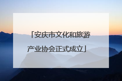安庆市文化和旅游产业协会正式成立