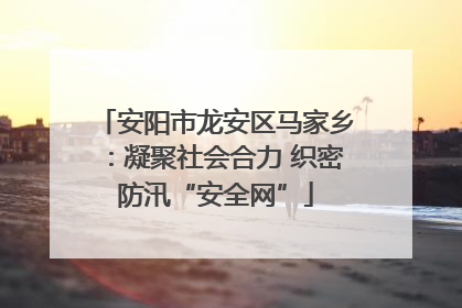 安阳市龙安区马家乡：凝聚社会合力 织密防汛“安全网”