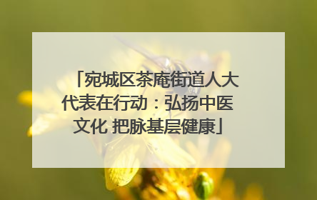 宛城区茶庵街道人大代表在行动：弘扬中医文化 把脉基层健康
