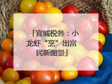 宜城税务：小龙虾“烹”出富民新图景