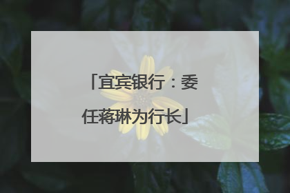 宜宾银行：委任蒋琳为行长