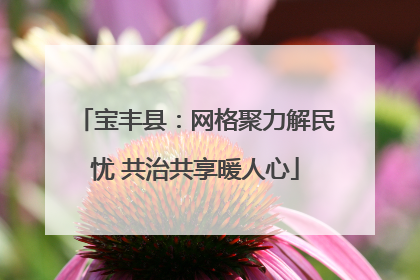 宝丰县：网格聚力解民忧 共治共享暖人心