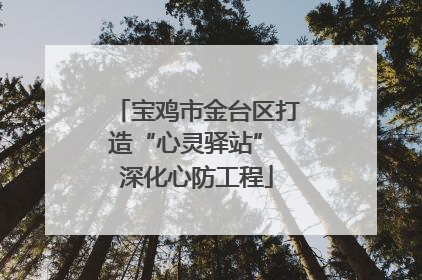 宝鸡市金台区打造“心灵驿站” 深化心防工程
