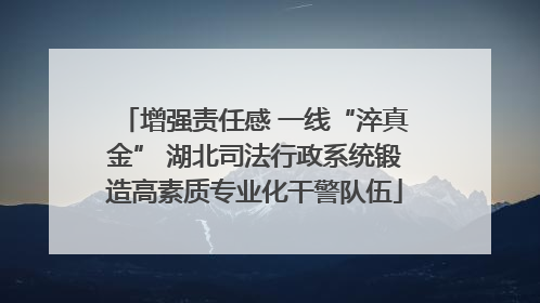 增强责任感 一线“淬真金” 湖北司法行政系统锻造高素质专业化干警队伍