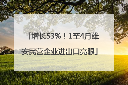 增长53%！1至4月雄安民营企业进出口亮眼