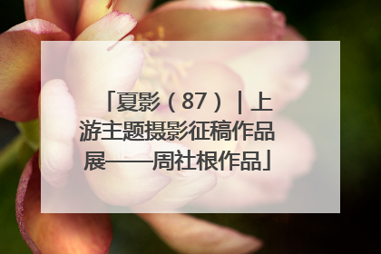 夏影（87）｜上游主题摄影征稿作品展——周社根作品