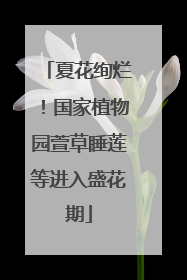 夏花绚烂！国家植物园萱草睡莲等进入盛花期