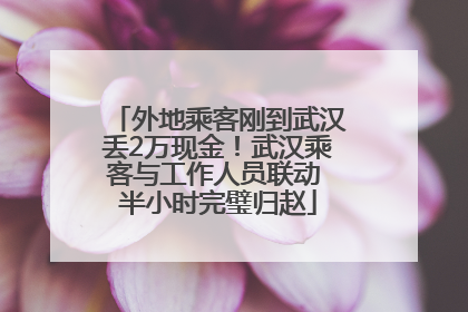 外地乘客刚到武汉丢2万现金!武汉乘客与工作人员联动 半小时完璧归赵