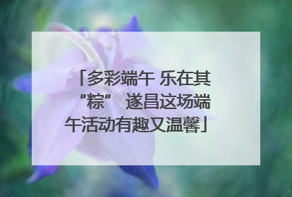 多彩端午 乐在其“粽” 遂昌这场端午活动有趣又温馨