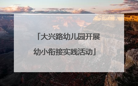 大兴路幼儿园开展幼小衔接实践活动