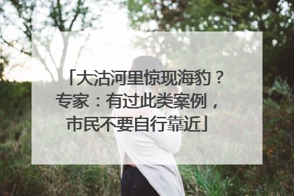 大沽河里惊现海豹？专家：有过此类案例，市民不要自行靠近