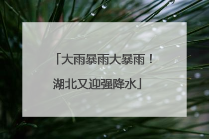 大雨暴雨大暴雨！湖北又迎强降水