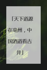 天下道源在亳州，中国酒道看古井