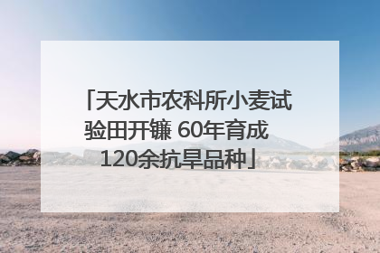 天水市农科所小麦试验田开镰 60年育成120余抗旱品种