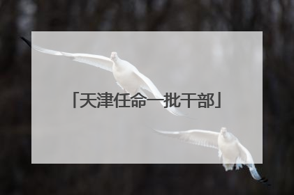 天津任命一批干部