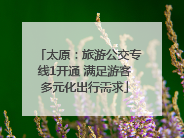 太原：旅游公交专线1开通 满足游客多元化出行需求