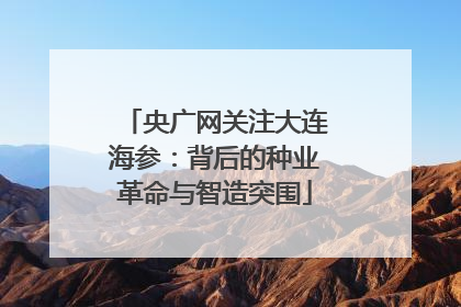 央广网关注大连海参：背后的种业革命与智造突围