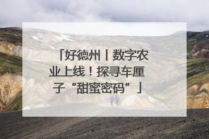 好德州丨数字农业上线！探寻车厘子“甜蜜密码”
