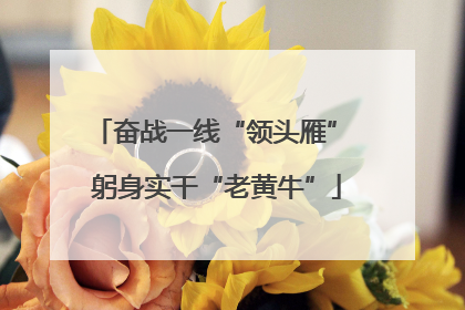 奋战一线“领头雁” 躬身实干“老黄牛”