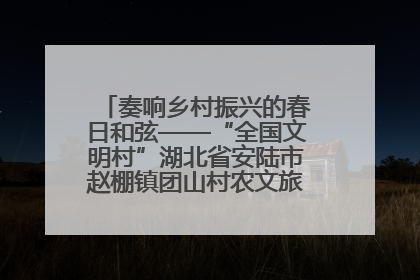 奏响乡村振兴的春日和弦——“全国文明村”湖北省安陆市赵棚镇团山村农文旅融合发展见闻