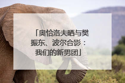 奥恰洛夫晒与樊振东、波尔合影：我们的新男团