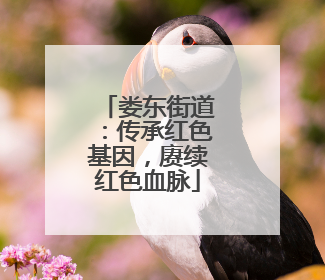 娄东街道：传承红色基因，赓续红色血脉
