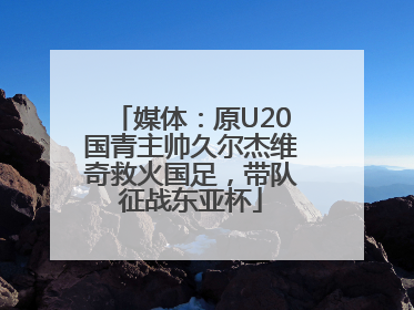 媒体：原U20国青主帅久尔杰维奇救火国足，带队征战东亚杯