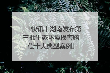 快讯丨湖南发布第三批生态环境损害赔偿十大典型案例