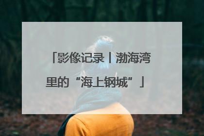 影像记录丨渤海湾里的“海上钢城”