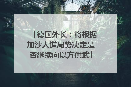 德国外长：将根据加沙人道局势决定是否继续向以方供武
