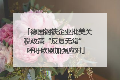 德国钢铁企业批美关税政策“反复无常” 呼吁欧盟加强应对