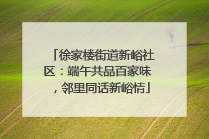 徐家楼街道新峪社区：端午共品百家味，邻里同话新峪情