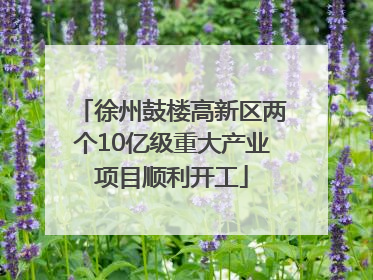 徐州鼓楼高新区两个10亿级重大产业项目顺利开工