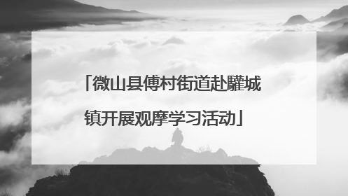 微山县傅村街道赴驩城镇开展观摩学习活动