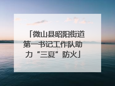 微山县昭阳街道第一书记工作队助力“三夏”防火