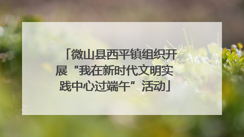 微山县西平镇组织开展“我在新时代文明实践中心过端午”活动