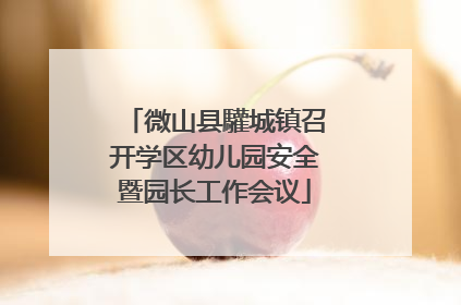 微山县驩城镇召开学区幼儿园安全暨园长工作会议