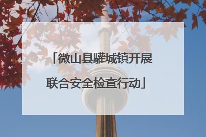 微山县驩城镇开展联合安全检查行动