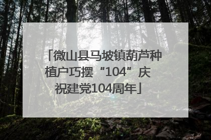 微山县马坡镇葫芦种植户巧摆“104”庆祝建党104周年