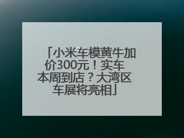 小米车模黄牛加价300元！实车本周到店？大湾区车展将亮相