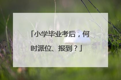 小学毕业考后，何时派位、报到？