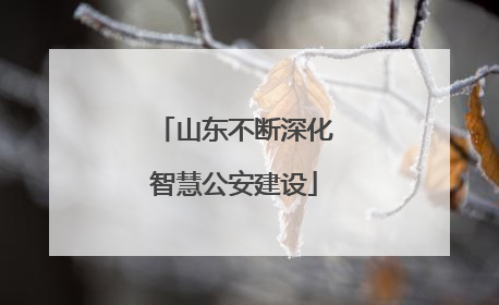 山东不断深化智慧公安建设