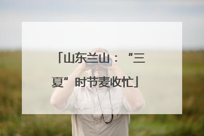 山东兰山：“三夏”时节麦收忙