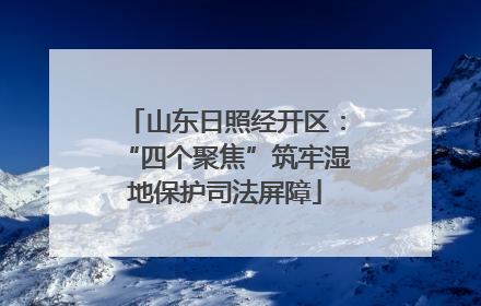 山东日照经开区：“四个聚焦”筑牢湿地保护司法屏障