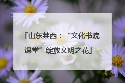 山东莱西：“文化书院课堂”绽放文明之花