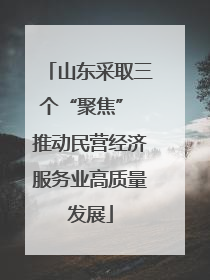 山东采取三个“聚焦” 推动民营经济服务业高质量发展